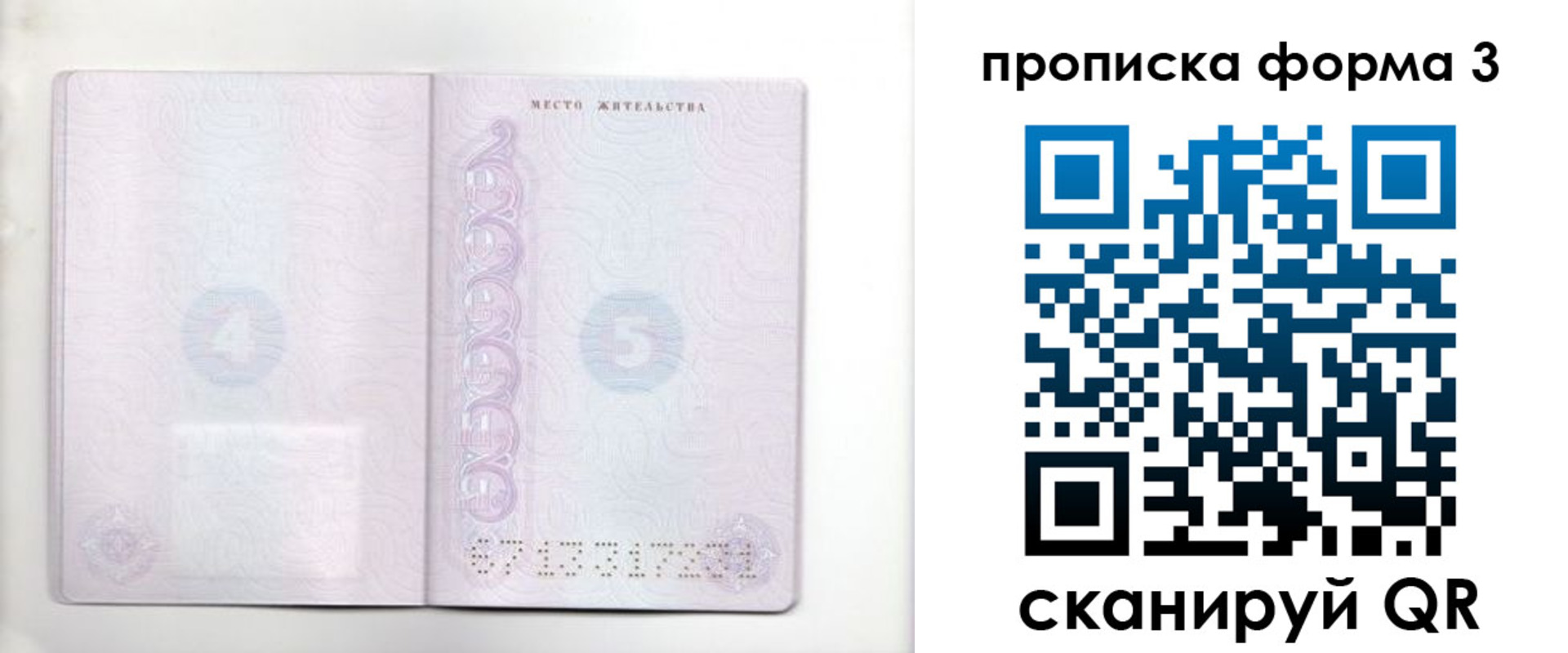 прописка гарантия в Калининграде